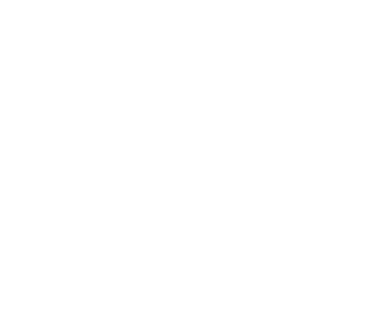 UAI NET